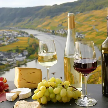 Διαμέρισμα Feiden Eifel-mosel Lounge *